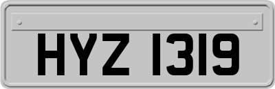 HYZ1319