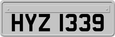HYZ1339