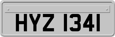 HYZ1341