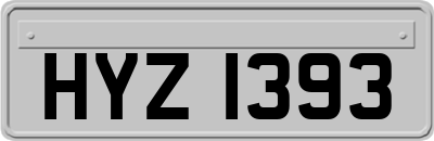 HYZ1393