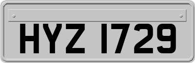 HYZ1729