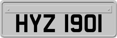 HYZ1901