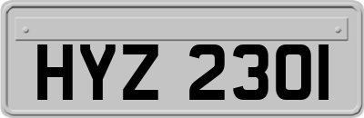 HYZ2301