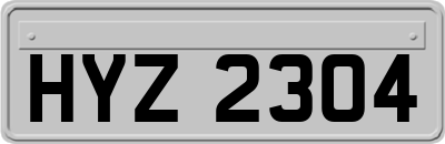 HYZ2304