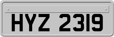 HYZ2319