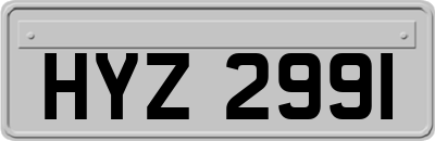 HYZ2991