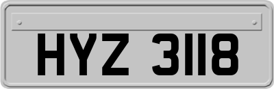 HYZ3118