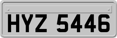 HYZ5446