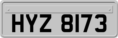 HYZ8173