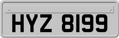 HYZ8199