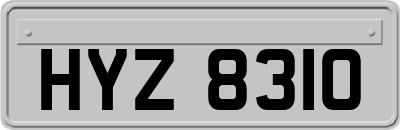 HYZ8310