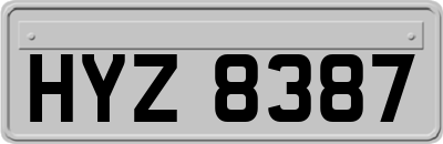 HYZ8387