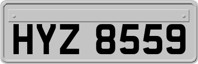 HYZ8559