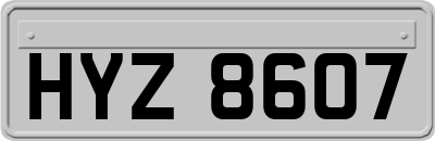 HYZ8607