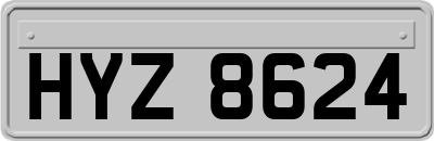 HYZ8624