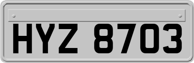 HYZ8703