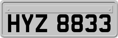 HYZ8833