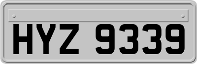 HYZ9339