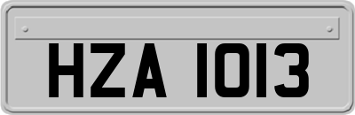 HZA1013