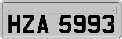 HZA5993
