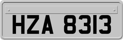 HZA8313