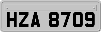 HZA8709
