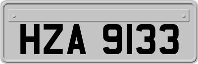 HZA9133