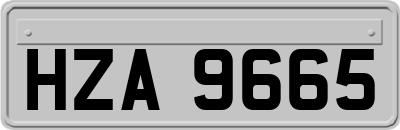 HZA9665