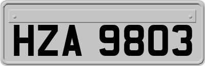 HZA9803