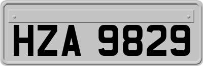 HZA9829