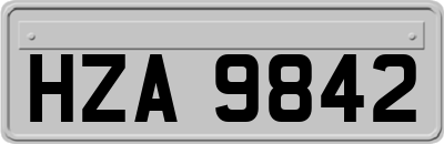 HZA9842