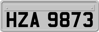 HZA9873