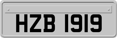 HZB1919