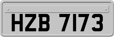 HZB7173