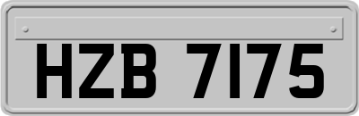 HZB7175