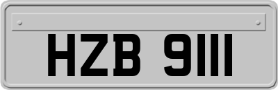 HZB9111