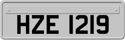 HZE1219