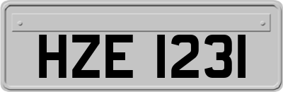HZE1231