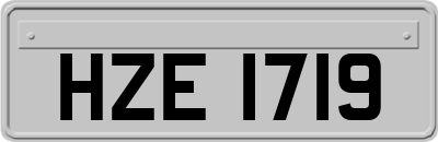 HZE1719