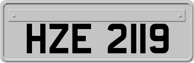 HZE2119