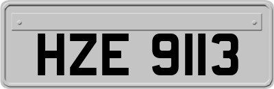 HZE9113