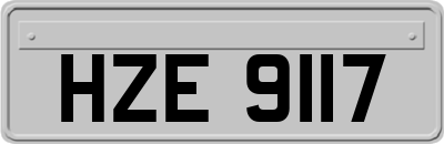 HZE9117