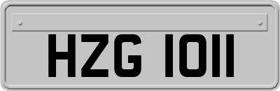 HZG1011