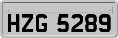 HZG5289