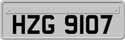 HZG9107