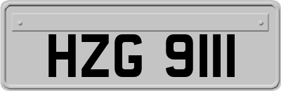 HZG9111