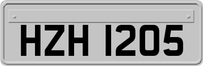 HZH1205