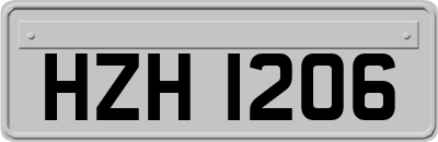 HZH1206