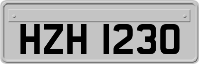 HZH1230