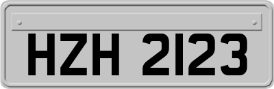 HZH2123